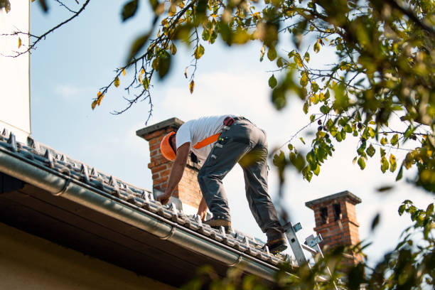 Roof Waterproofing Services in Machias, WA