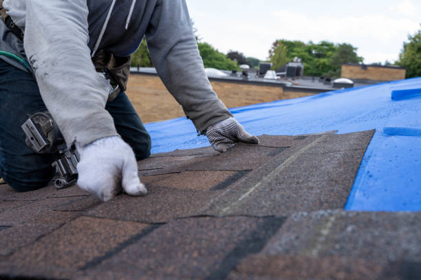 Best Roof Restoration Services  in Machias, WA