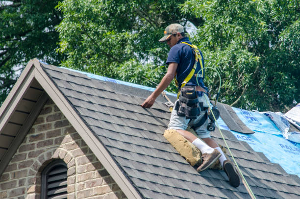 Tile Roofing Contractor in Machias, WA
